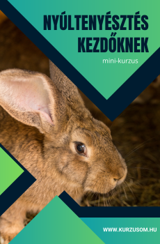 Nyúltenyésztés kezdőknek
