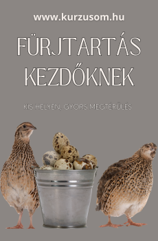 Fürjtartás kezdőknek