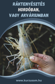 Ráktenyésztés mini-kurzus